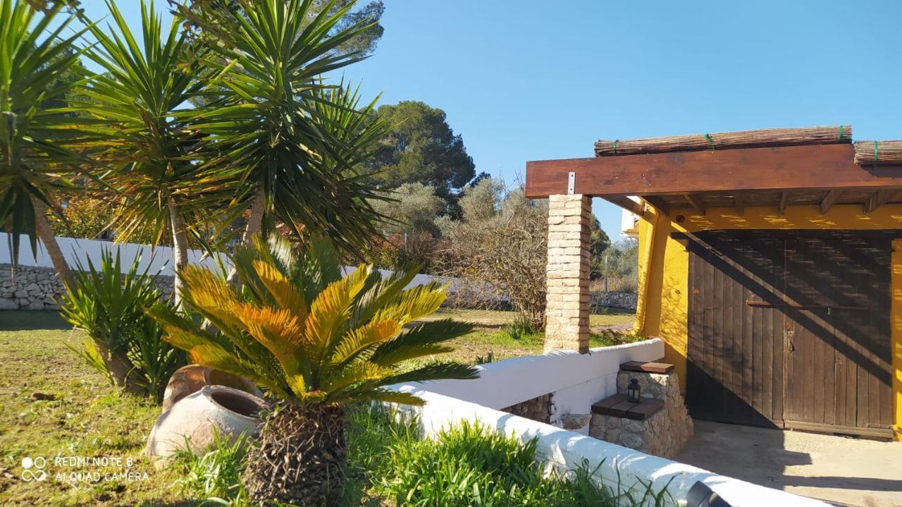 Casa Con Vistas, Piscina Y Animales De Granja, La Caseta Ταραγόνα Εξωτερικό φωτογραφία