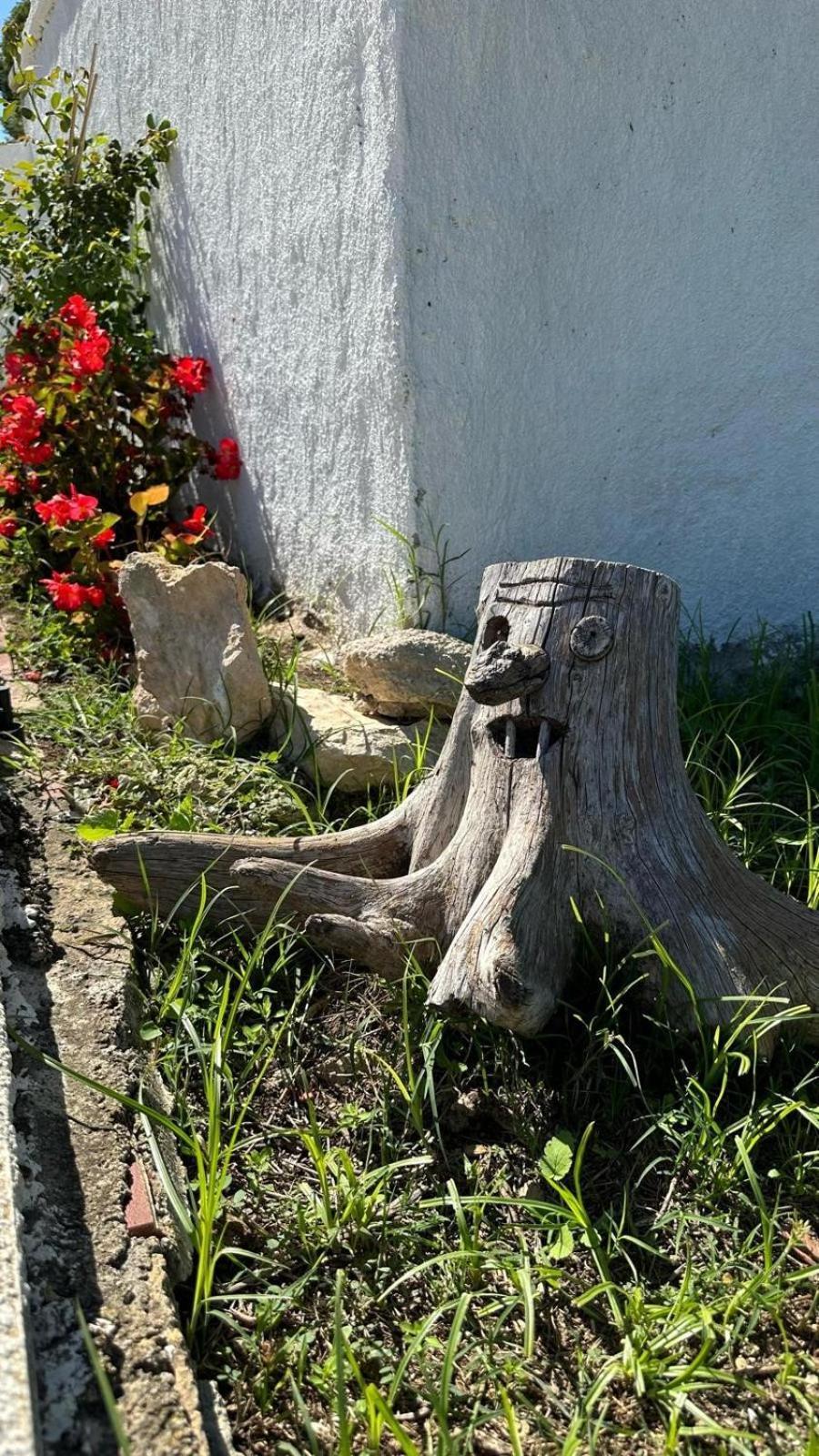 Casa Con Vistas, Piscina Y Animales De Granja, La Caseta Ταραγόνα Εξωτερικό φωτογραφία