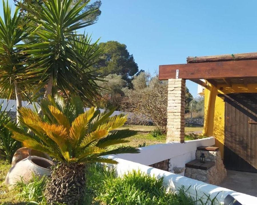 Casa Con Vistas, Piscina Y Animales De Granja, La Caseta Ταραγόνα Εξωτερικό φωτογραφία